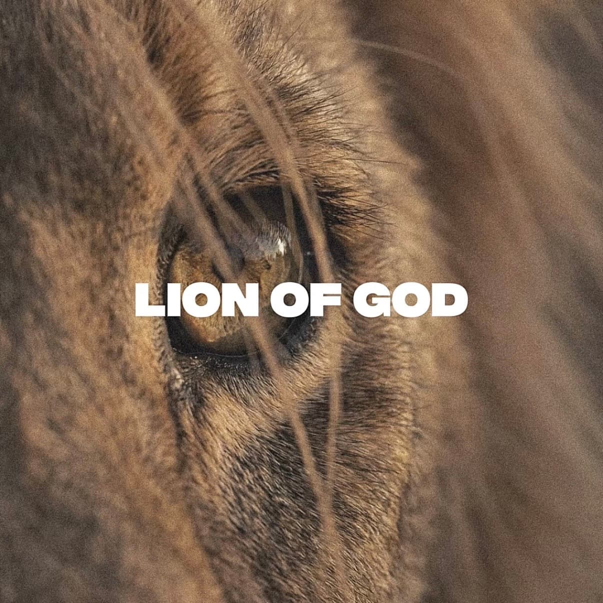 lion_of_god