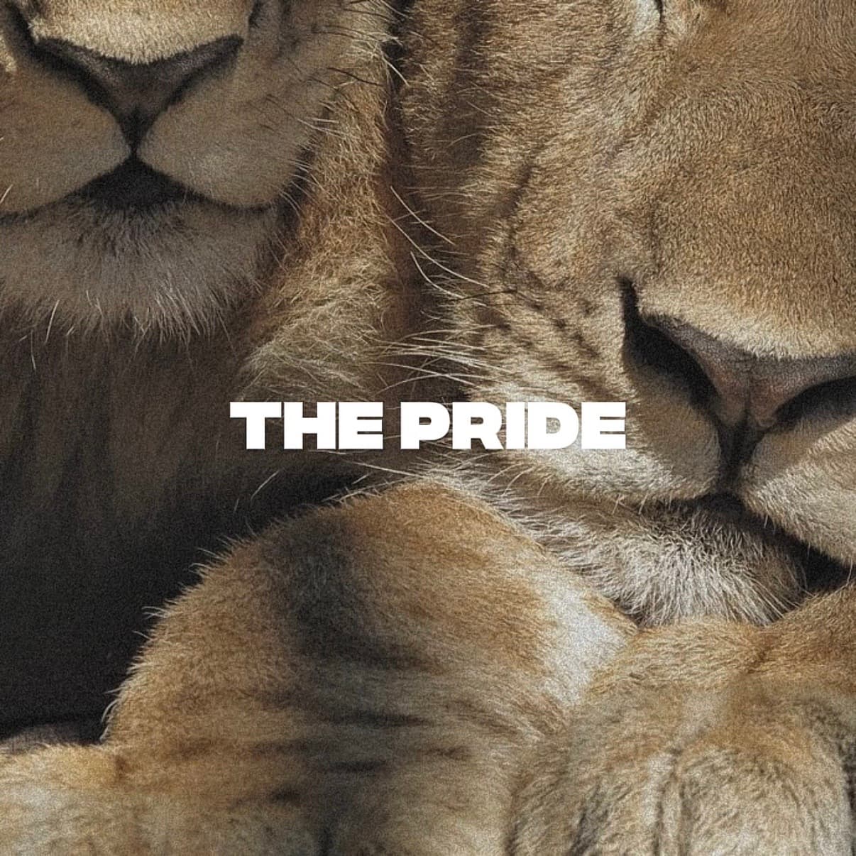 pride